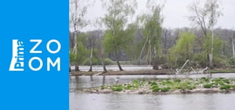 Přestávka ve vysílání