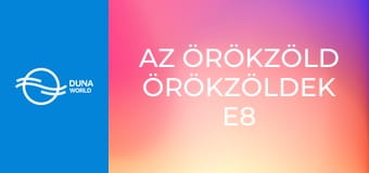 Az örökzöld örökzöldek E8 - Koncz Zsuzsa felvételeiből
