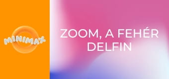 Zoom, a fehér delfin S1E8 - Az óceán túlélője Zoom, a fehér delfin S1E8 - Az óceán túlélője