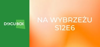 Na wybrzeżu S12E6