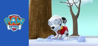 Patrula căţeluşilor Sezonul 2 Episodul 8