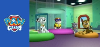 Щенячий патруль Сезон 1 Епізод 19