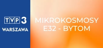 Mikrokosmosy E32 - Bytom Bobrek