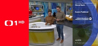 13. komnata Hany Třeštíkovej