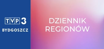 Dziennik regionów