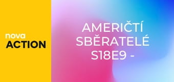 Američtí sběratelé S18E9 - Vozy bubbletop