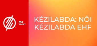 Kézilabda: Női kézilabda EHF Euro Kupa - Magyarország – Dánia mérkőzés