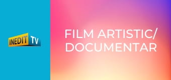 Film artistic/ documentar