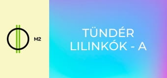 Tündér lilinkók - A lilinkók és a sziget