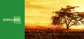 Wyprawa do Afryki S1E8 - Park Narodowy Tsavo