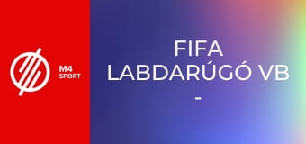 FIFA labdarúgó vb - háttértörténetek