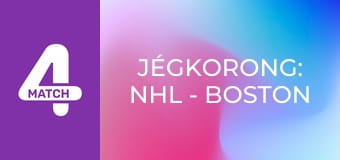 Jégkorong: NHL - Boston Bruins – Washington Capitals