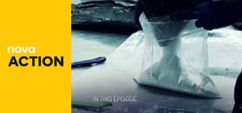 Hraniční kontrola: Latinská Amerika E26