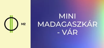 Mini Madagaszkár - Vár a nagyvilág - Vesztes meccs