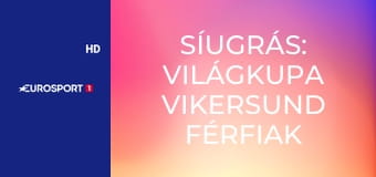 Síugrás: Világkupa Vikersund férfiak - HS240