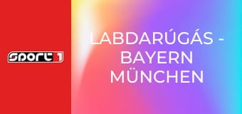 Labdarúgás - Bayern München - Valencia