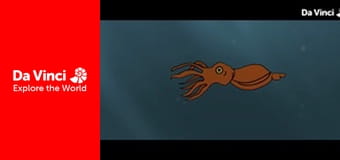 Állatkölykök - Pingvinek