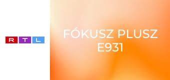 Fókusz Plusz E931