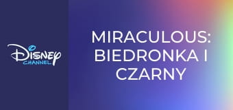 Miraculous: Biedronka i Czarny Kot S5E111 - Pasja