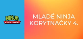 Mladé ninja korytnačky 4. séria, 6. časť