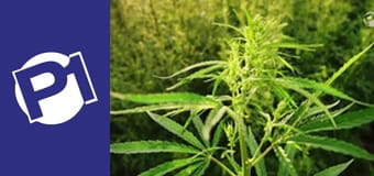 Dekalog zdrowego i szczęśliwego życia E2