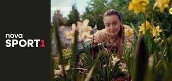 Basketball Champions League