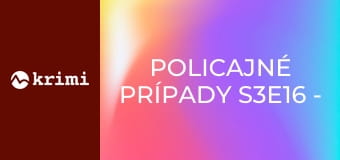 Policajné prípady S3E16 - Zosnulá suseda, Prepadnutie na zastávke, Neodbytný bezdomovec, Domáce násilie