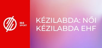 Kézilabda: Női kézilabda EHF Euro Kupa - Magyarország – Dánia mérkőzés