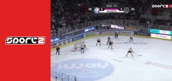 Lední hokej - ZSC Lions - Lugano