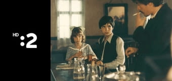 Stíny horkého léta