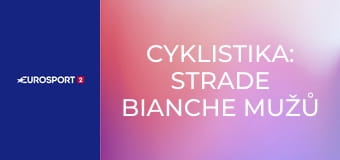 Cyklistika: Strade Bianche mužů
