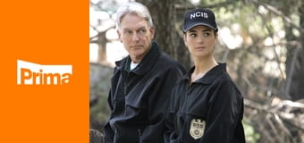 Námořní vyšetřovací služba S8E1 - Pavouk a moucha