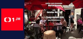 Úsměvy - Jana Potměšila