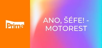 Ano, šéfe! - Motorest Galerie – Karlov
