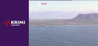 Na kus řeči se žraloky