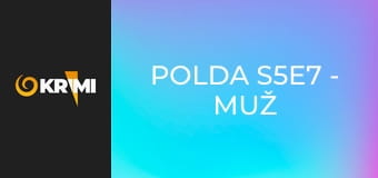 Polda S5E7 - Muž cez palubu