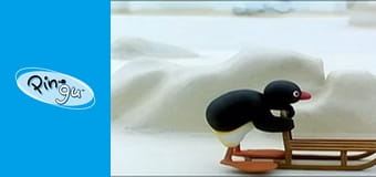 The Pingu Show Sezon 1 Odcinek 52