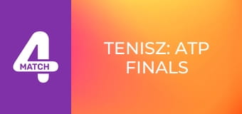 Tenisz: ATP Finals