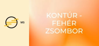 Kontúr - Fehér Zsombor