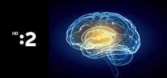 Záhady mozgu E11 - Falošné spomienky – ako nás mozog klame