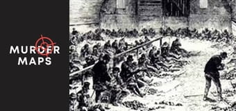 Черната вдовица Черната вдовица