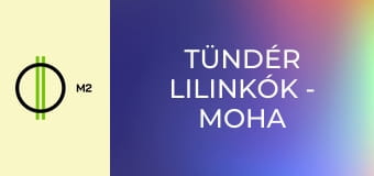 Tündér lilinkók - Moha és Hápsáp