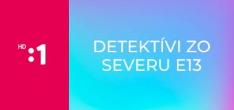 Detektívi zo severu E13 - Smrtiaca liečba