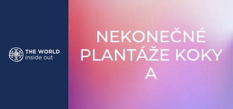 Nekonečné plantáže koky a opekané morské prasiatko na špíze. Bolívia.