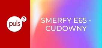 Smerfy E65 - Cudowny smerfer