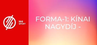 Forma-1: Kínai Nagydíj - 1. szabadedzés