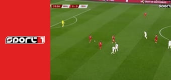 Fotbal - Wales - Bosna a Hercegovina