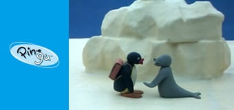 Pingu Sezon 1 Odcinek 20