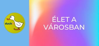 Élet a városban Élet a városban