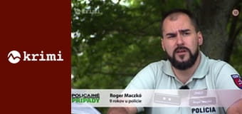 Policajné prípady S3E6 - Zbraň v parku, Striedavá starostlivosť, Vymyslené okradnutie, Útočiaci gang